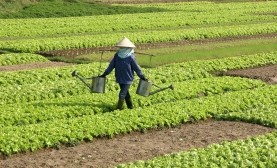 You Could Spend All Day Watering These Fields