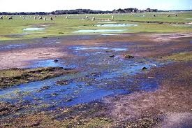 Salinization and Waterlogging 12 pic 4