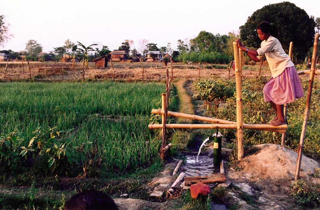 Woman in Cambodia using a Treadle Pump